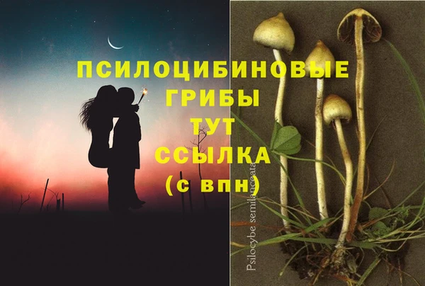 марки lsd Горняк