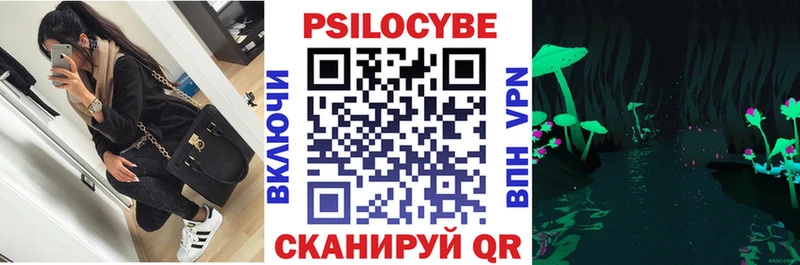 Псилоцибиновые грибы мицелий  Дмитриев 